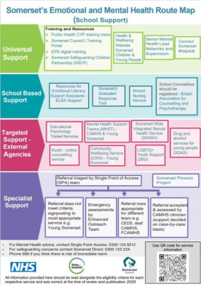 Somerset children & young people : Health & Wellbeing : Somerset ...
